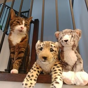 Meet your Posher, Tracey